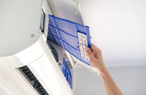 Best Emergency Air Duct Cleaning  in Chieand, FL
