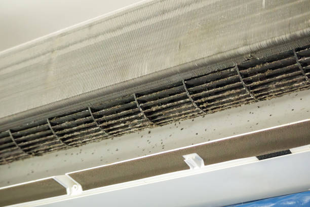 Best Ductwork Cleaning Services  in Chieand, FL